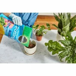 Cheap ⭐ Miracle-Gro Moisture Control Potting Mix and Water Soluble All Purpose Plant Food ⭐ -Miracle-Gro Sales Store miracle gro potting soil vb3000554 1f 1000