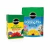 Cheap ⭐ Miracle-Gro Moisture Control Potting Mix and Water Soluble All Purpose Plant Food ⭐