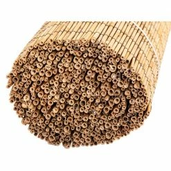 Budget 🛒 Backyard X-Scapes 6 ft. H x 16 ft. L Natural Jumbo Reed Bamboo Fencing 🌟 -Miracle-Gro Sales Store natural backyard x scapes garden fencing 20 br6 1f 1000