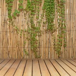 Budget ๐ Backyard X-Scapes 6 ft. H x 16 ft. L Natural Jumbo Reed Bamboo Fencing ๐