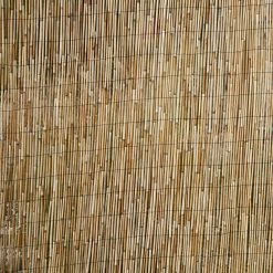 Budget 🛒 Backyard X-Scapes 6 ft. H x 16 ft. L Natural Jumbo Reed Bamboo Fencing 🌟 -Miracle-Gro Sales Store natural backyard x scapes garden fencing 20 br6 fa 1000