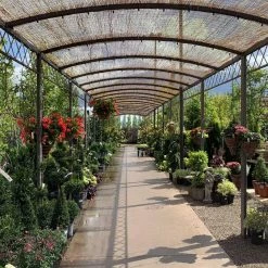 New ❤️ Backyard X-Scapes 72 in. H x 192 in. L Reed Fencing Panel Decorative Screen Fence For Backyard Garden Fencing Divider (2-Pack) 🔔 -Miracle-Gro Sales Store natural backyard x scapes garden fencing 20 n6pk2 1f 1000