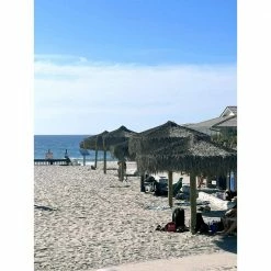 Top 10 🔔 Backyard X-Scapes 35 in. H x 60 ft. L Mexican Palm Thatch Runner 😉 -Miracle-Gro Sales Store natural backyard x scapes garden fencing 511 60xl fa 1000