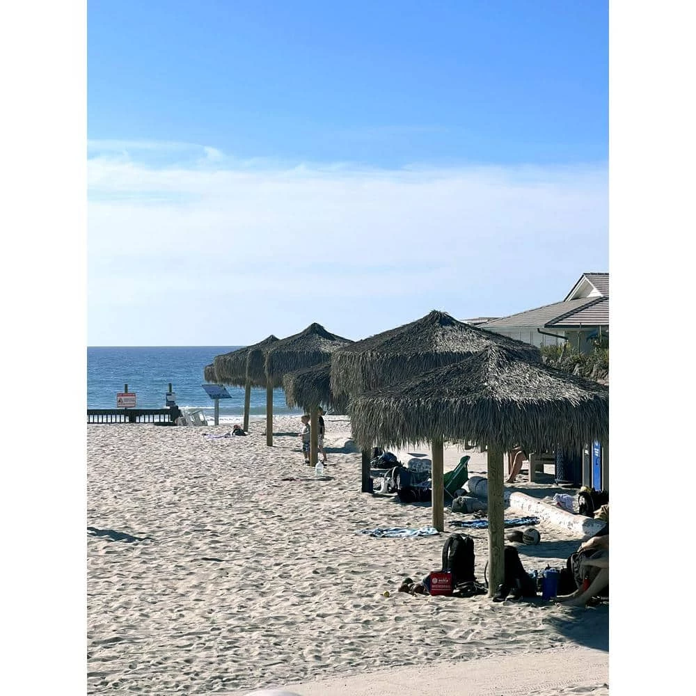 Coupon 👏 Backyard X-Scapes 12 ft. D Mexican Palm Thatch Umbrella Cover 👏 4 Coupon 👏 Backyard X-Scapes 12 ft. D Mexican Palm Thatch Umbrella Cover 👏 - Image 4