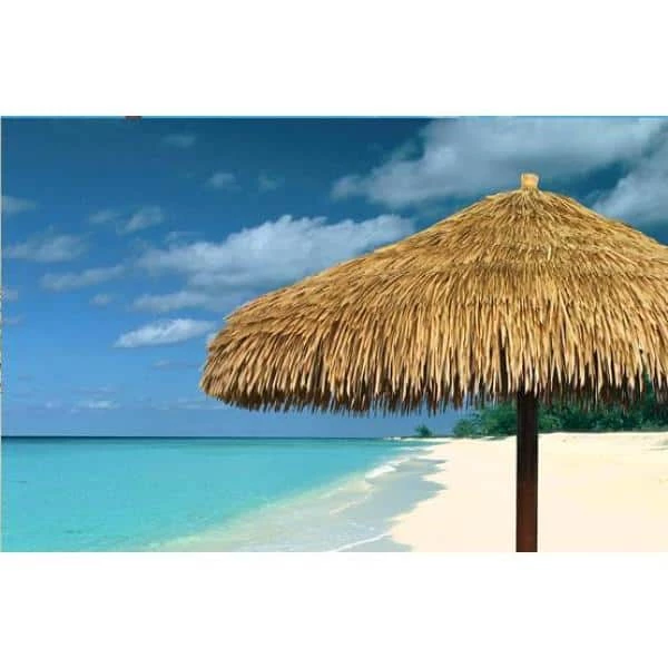 Coupon 👏 Backyard X-Scapes 12 ft. D Mexican Palm Thatch Umbrella Cover 👏 3 Coupon 👏 Backyard X-Scapes 12 ft. D Mexican Palm Thatch Umbrella Cover 👏 - Image 3