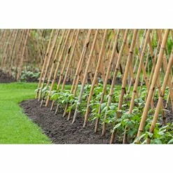 Best Pirce ❤️ Backyard X-Scapes 1/2 in. x 6 ft. Natural Bamboo Poles (25-Pack/Bundled) ❤️ -Miracle-Gro Sales Store natural backyard x scapes tomato cages hdd bp04 31 1000