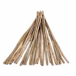 Best Pirce ❤️ Backyard X-Scapes 1/2 in. x 6 ft. Natural Bamboo Poles (25-Pack/Bundled) ❤️