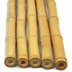 New 😉 Backyard X-Scapes 1 in. D x 94 in. L Natural Bamboo Poles (25-Pack/Bundled) 🌟