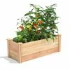 Flash Sale 🛒 Greenes Fence 16 in. x 4 ft. x 16.5 in. Premium Cedar Raised Garden Bed 👏