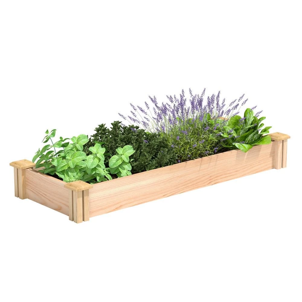 Deals ✨ Greenes Fence 16 in. x 4 ft. x 5.5 in. Premium Cedar Raised Garden Bed ✔️ 1 Deals ✨ Greenes Fence 16 in. x 4 ft. x 5.5 in. Premium Cedar Raised Garden Bed ✔️