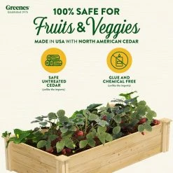 Cheap 🧨 Greenes Fence 2 ft. x 4 ft. x 10.5 in. Original Cedar Raised Garden Bed 👍 -Miracle-Gro Sales Store natural greenes fence raised planter boxes rc24484t c3 1000
