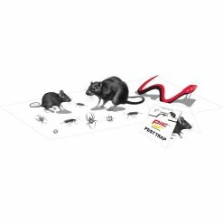 Best deal 👏 PIC 4 Glue Pest Trap for Spiders and Snakes (3-Packs) 😀 -Miracle-Gro Sales Store pic animal traps 814103023176 31 1000