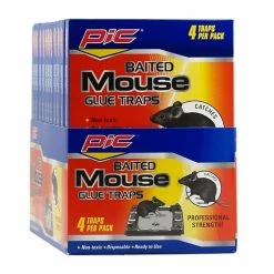 Cheap 🧨 PIC Baited Mouse Glue Traps (48-Pack) 🤩