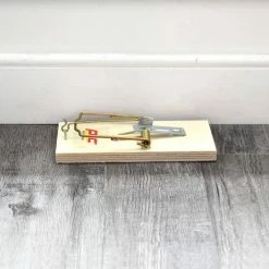 Deals 🎁 PIC Wood Mouse Traps (Total Number of Traps - 48) (4 Count per Case) 🎁 -Miracle-Gro Sales Store pic animal traps mtw 4h 1f 1000