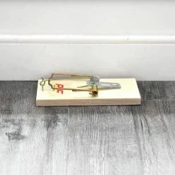 Buy 😍 PIC Rat Wood Trap (12-Pack per Case) 🎁 -Miracle-Gro Sales Store pic animal traps rtw 1 h 4f 1000