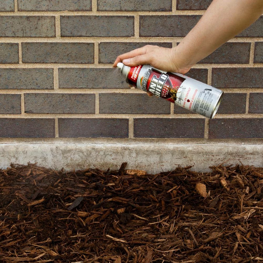 Cheap 👍 Spectracide Ant Shield 15 oz. Aerosol Insect Killer ✔️ 5 Cheap 👍 Spectracide Ant Shield 15 oz. Aerosol Insect Killer ✔️ - Image 5
