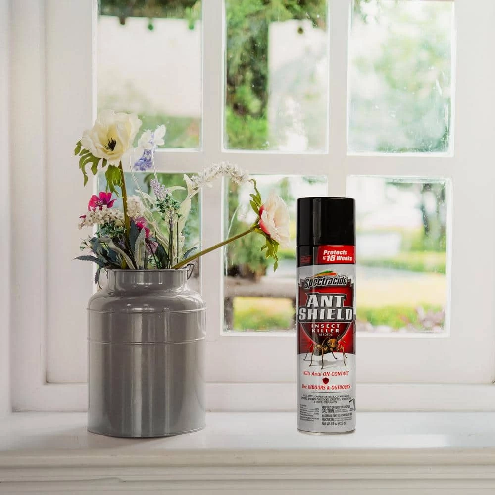 Cheap 👍 Spectracide Ant Shield 15 oz. Aerosol Insect Killer ✔️ 4 Cheap 👍 Spectracide Ant Shield 15 oz. Aerosol Insect Killer ✔️ - Image 4