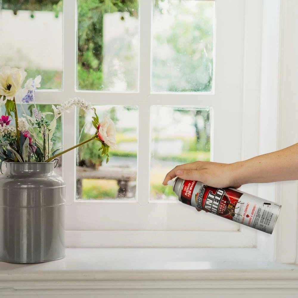 Cheap 👍 Spectracide Ant Shield 15 oz. Aerosol Insect Killer ✔️ 3 Cheap 👍 Spectracide Ant Shield 15 oz. Aerosol Insect Killer ✔️ - Image 3