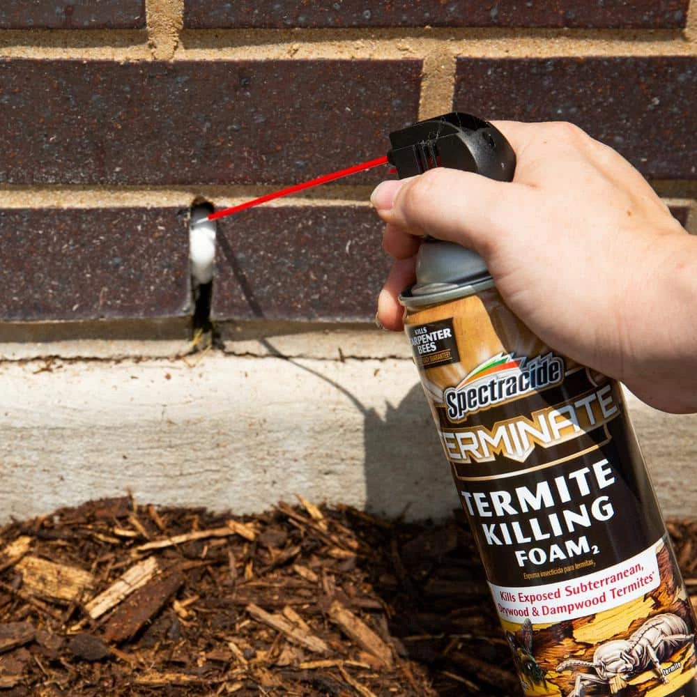 Budget 👏 Spectracide Terminate 16 oz. Termite Killing Foam 😍 5 Budget 👏 Spectracide Terminate 16 oz. Termite Killing Foam 😍 - Image 5
