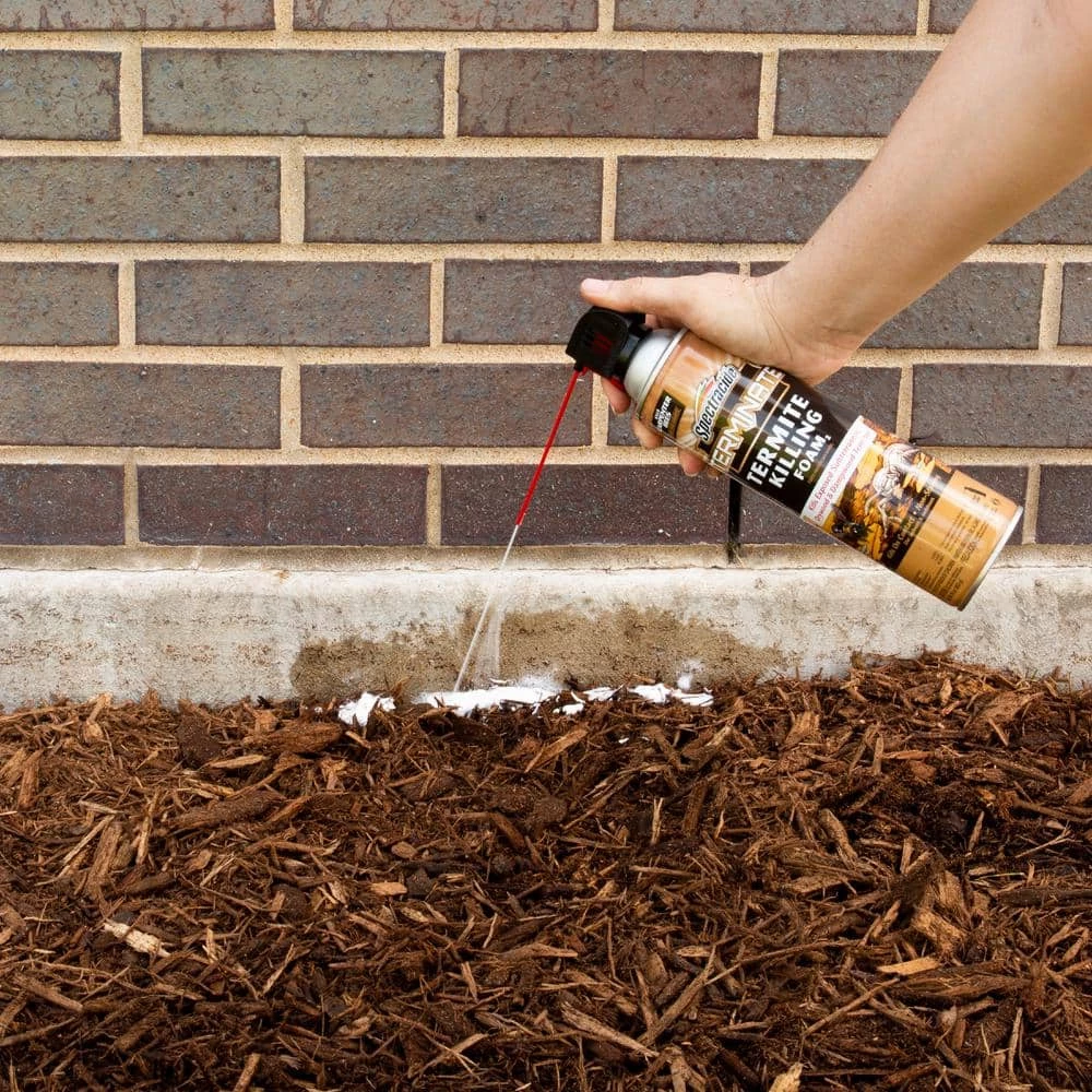 Budget 👏 Spectracide Terminate 16 oz. Termite Killing Foam 😍 4 Budget 👏 Spectracide Terminate 16 oz. Termite Killing Foam 😍 - Image 4