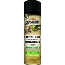 Discount ⭐ Spectracide 16 oz. Aerosol Carpenter Bee and Ground-Nesting Yellow jacket Killer Foam 🥰