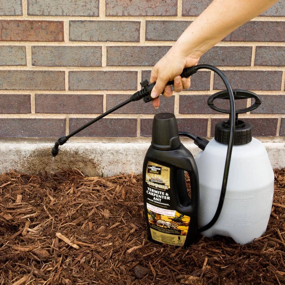 Best Sale 👍 Spectracide Terminate 32 oz. Concentrate Termite and Carpenter Ant Killer 🌟 4 Best Sale 👍 Spectracide Terminate 32 oz. Concentrate Termite and Carpenter Ant Killer 🌟 - Image 4