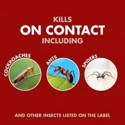 Deals 🎁 Spectracide Bug Stop Home Barrier 0.5 gal with Flip & Go Sprayer 😉 -Miracle-Gro Sales Store spectracide bug killer spray hg 96921 1f 1000