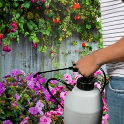 Coupon 🧨 Spectracide Immunox Multi-Purpose Fungicide 16 oz Spray Concentrate For Gardens 😍 -Miracle-Gro Sales Store spectracide fruit vegetable disease control hg 51000 2 a0 1000