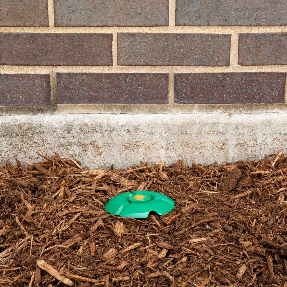 Cheapest 🤩 Spectracide Terminate Termite Killing Replacement Stakes (5-Count) 🔔 6 Cheapest 🤩 Spectracide Terminate Termite Killing Replacement Stakes (5-Count) 🔔 - Image 6