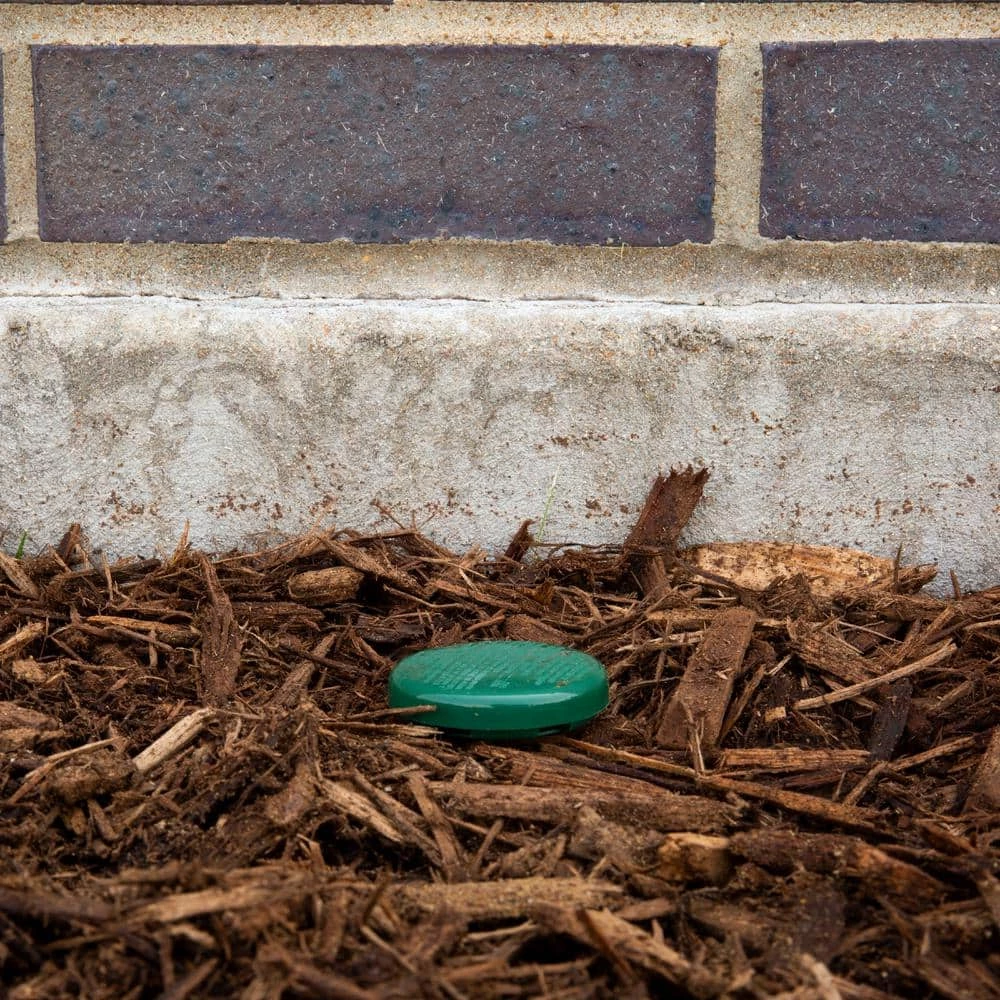 Best deal ✨ Spectracide Ant Shield Bundle 🧨 3 Best deal ✨ Spectracide Ant Shield Bundle 🧨 - Image 3