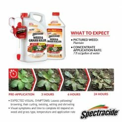Best deal 😉 Spectracide Weed and Grass Killer 1.3 gal. AccuShot Refill 👍 -Miracle-Gro Sales Store spectracide weed grass killer hg 96371 3 40 1000