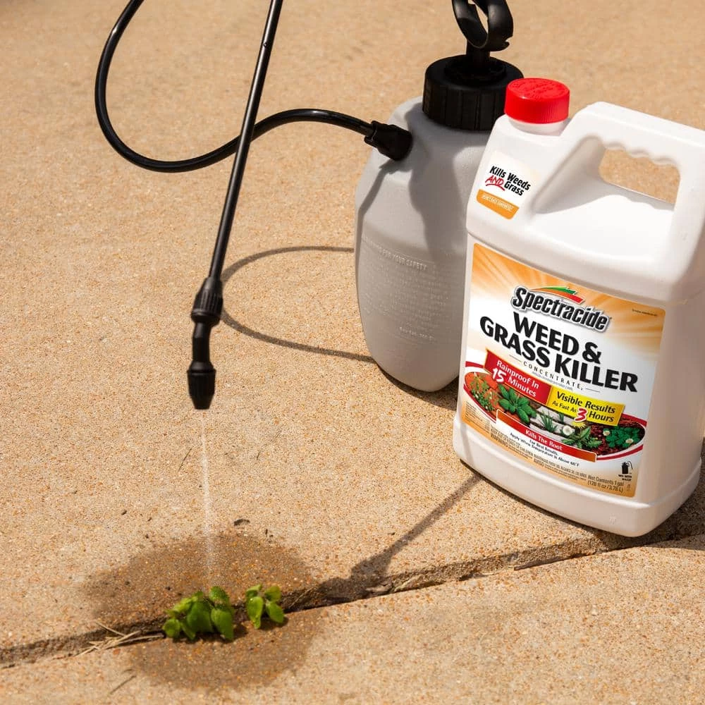 Budget ✔️ Spectracide 1 Gal. Concentrate Weed and Grass Killer ⭐ 4 Budget ✔️ Spectracide 1 Gal. Concentrate Weed and Grass Killer ⭐ - Image 4