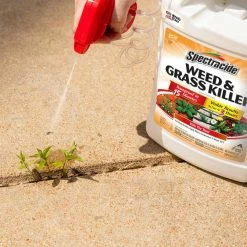 Flash Sale 😍 Spectracide Weed and Grass Concentrate and Ready to Use Bundle Pack ✨ -Miracle-Gro Sales Store spectracide weed grass killer hg 96887 1f 1000