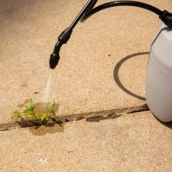 Flash Sale 😍 Spectracide Weed and Grass Concentrate and Ready to Use Bundle Pack ✨ -Miracle-Gro Sales Store spectracide weed grass killer hg 96887 fa 1000