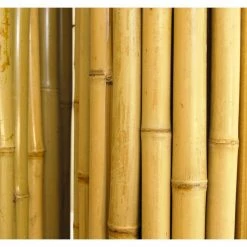 Buy ❤️ Backyard X-Scapes 1 in. D x 72 in. H x 96 in. L Natural Rolled Bamboo Fence Natural Bamboo Fencing Decorative Rolled Wood Fence Panel 😉 -Miracle-Gro Sales Store tan backyard x scapes garden fencing 22 n6 4f 1000