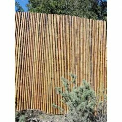 Budget 🥰 Backyard X-Scapes 72 in. H x 96 in. W x 1 in. D Walnut Brown Rolled Bamboo Fence Natural Bamboo Fencing Decorative Rolled Wood Fence Panel 👏 -Miracle-Gro Sales Store walnut backyard x scapes garden fencing 22 cb6xs 31 1000